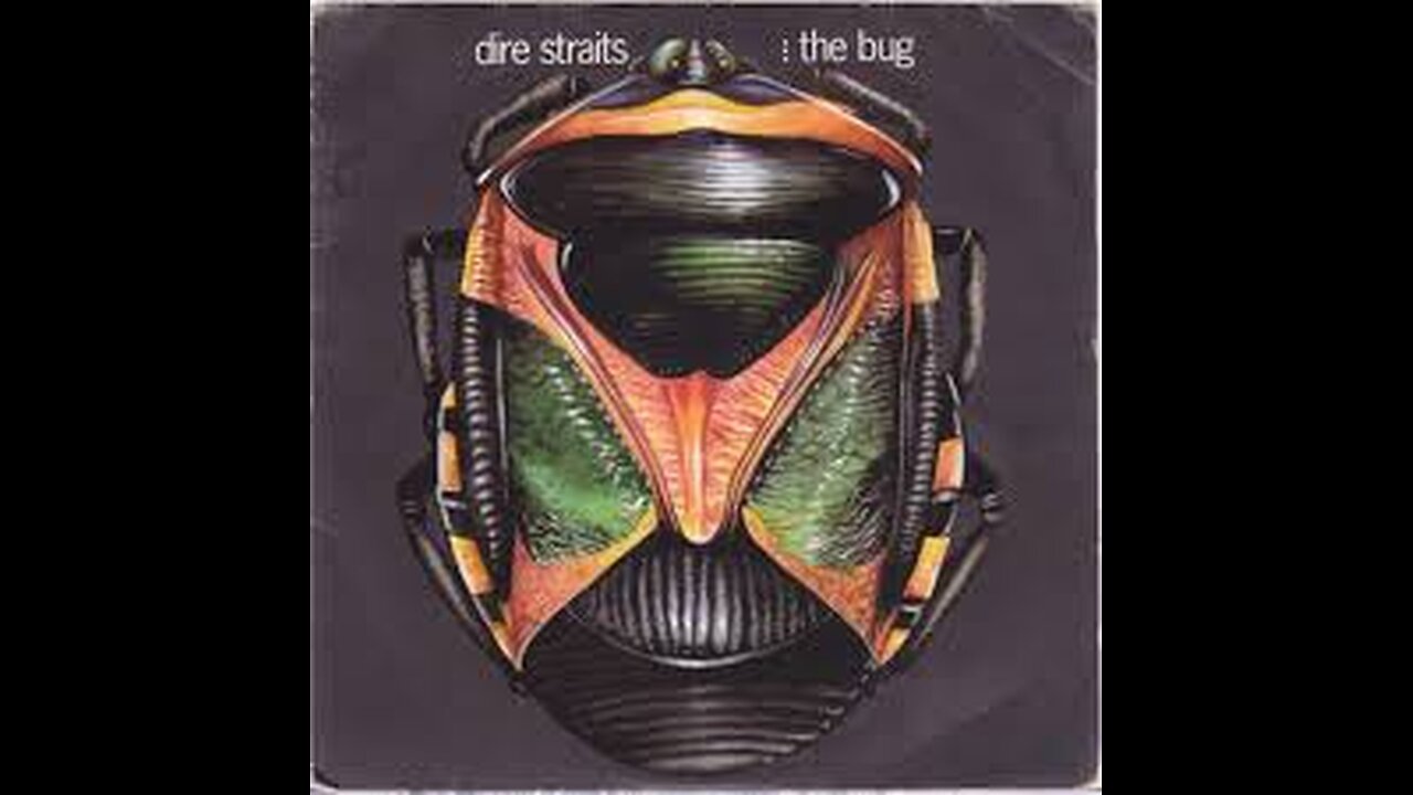 Dire Straits - The Bug