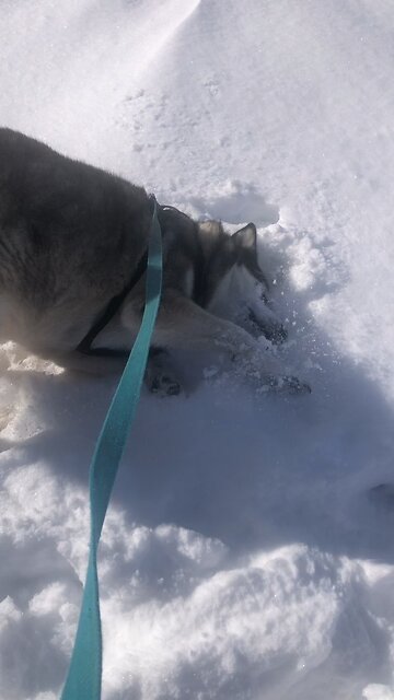 Monday February 10, Pray 🙏 about everything