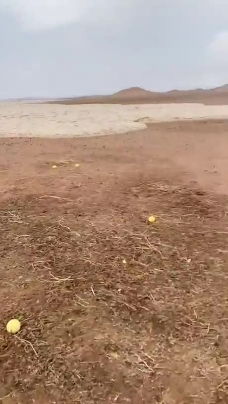 Sand flowing like water... absolutely insane!