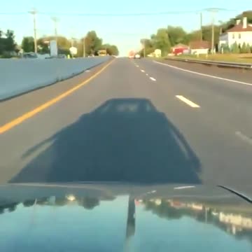 This Is the Most Idiotic 15-Second Video Ever But It Still Brings a Chuckle