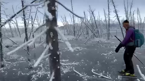 Skating in beautiful drown forest