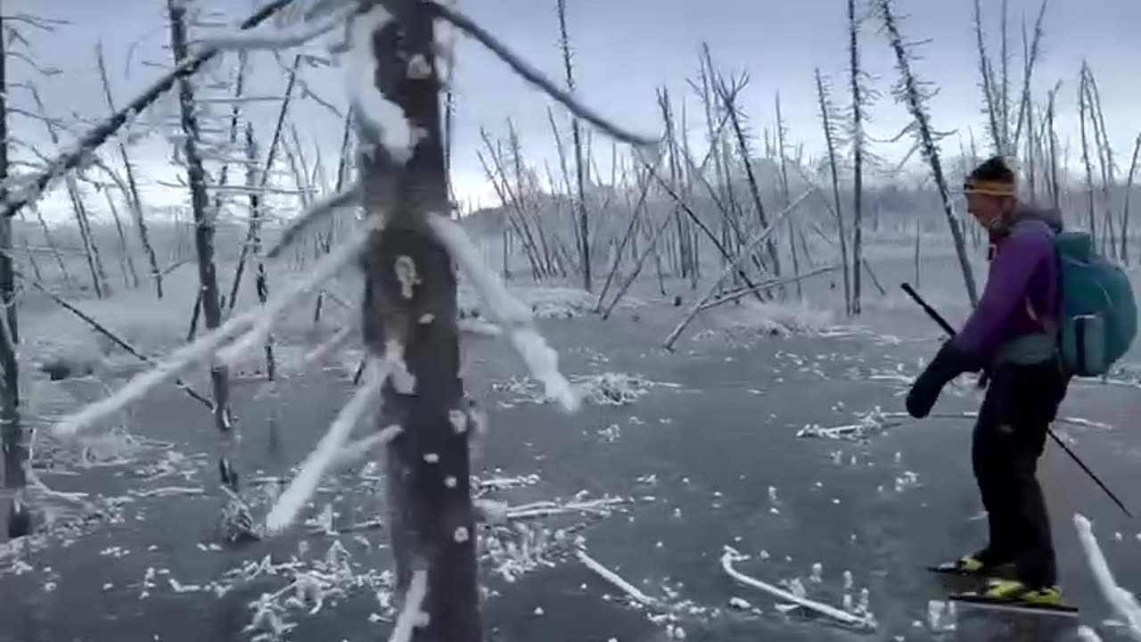 Skating in beautiful drown forest