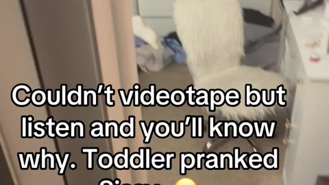 Toddler pranking Sissy