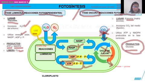 REPASO PLUS ADUNI 2023 - 3 | Semana 01 | Biología | Economía S2 | Geometría