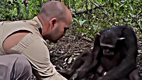 viral video !! motivation !! story !! sad movement