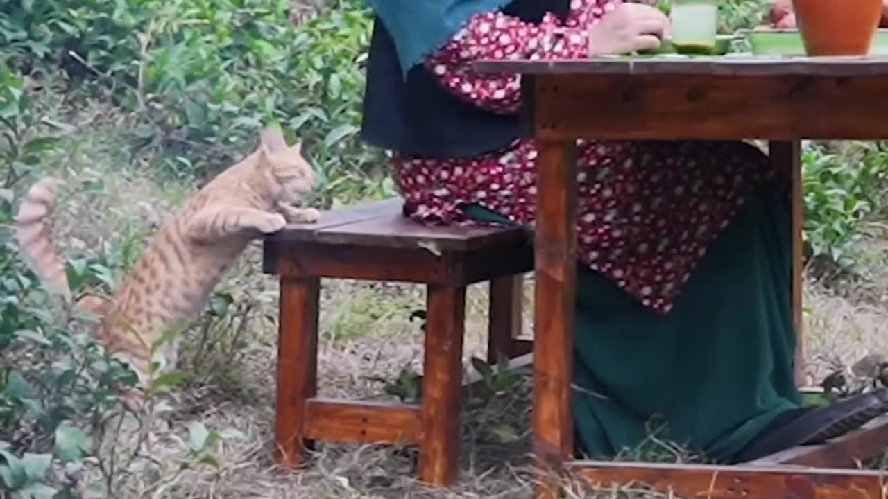 Cooking in nature