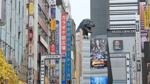 Tokyo, Japan, city tour.