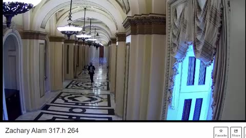 Jan 6 2021 Capital Survealance Video of Communist Organizer Working with FBI
