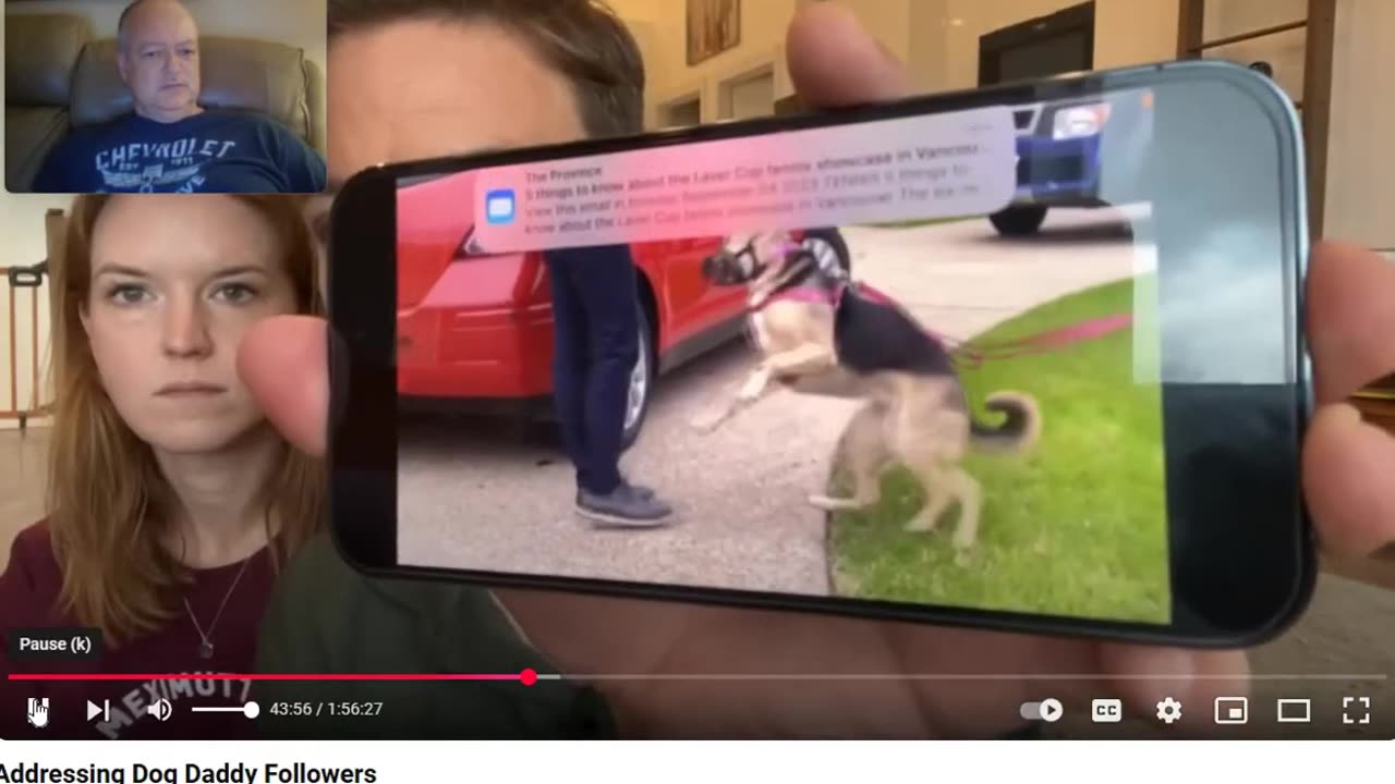 Force Free Dog Training isn't about Fixing a Relationship Problem between Dogs and Owners