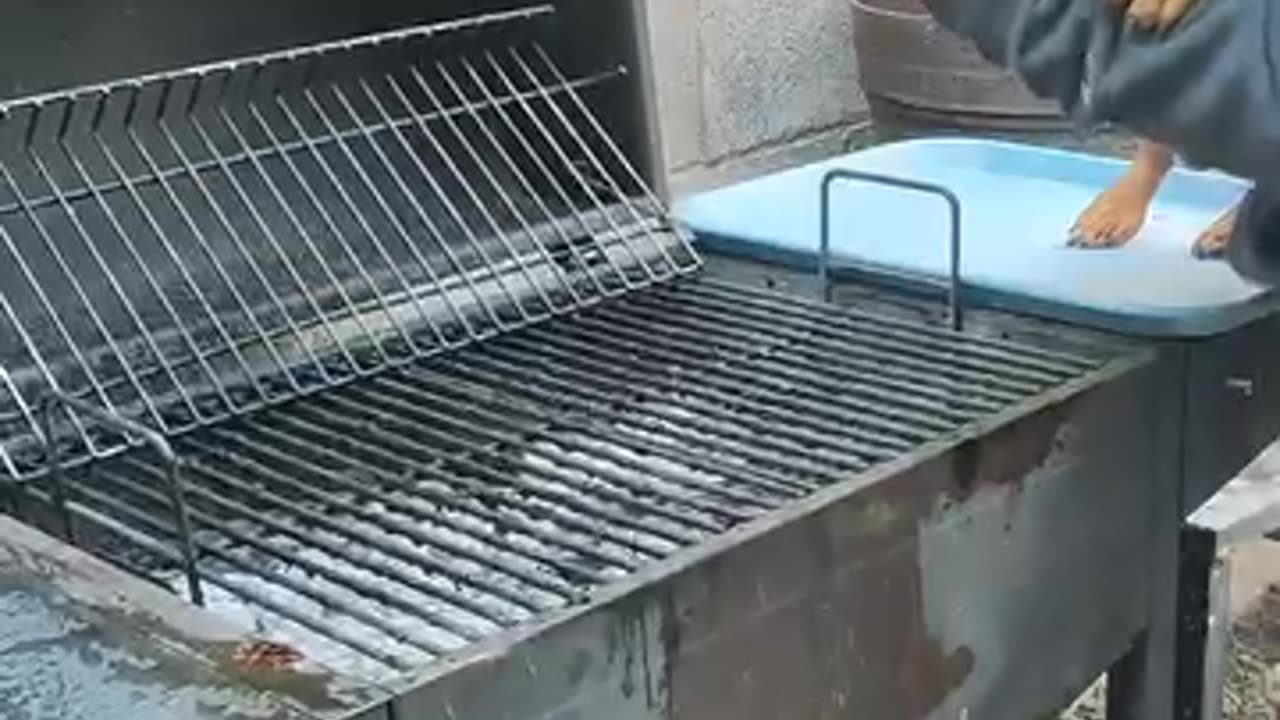 Hot dog🌭