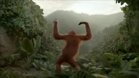 Monkey funny dance