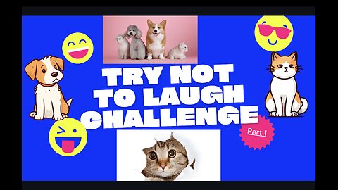 Funniest Cats Ever! Try Not to Laugh Challenge – Impossible! 😂