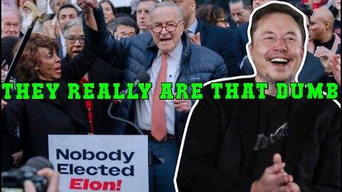 THEY REALLY ARE THAT DUMB - YES, WE DID VOTE FOR ELON MUSK, TOO!