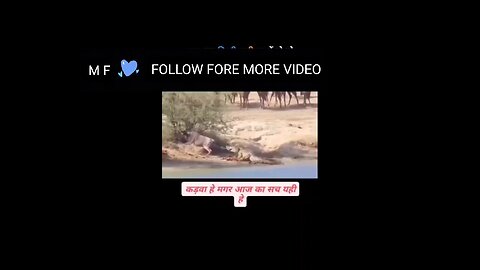 like video