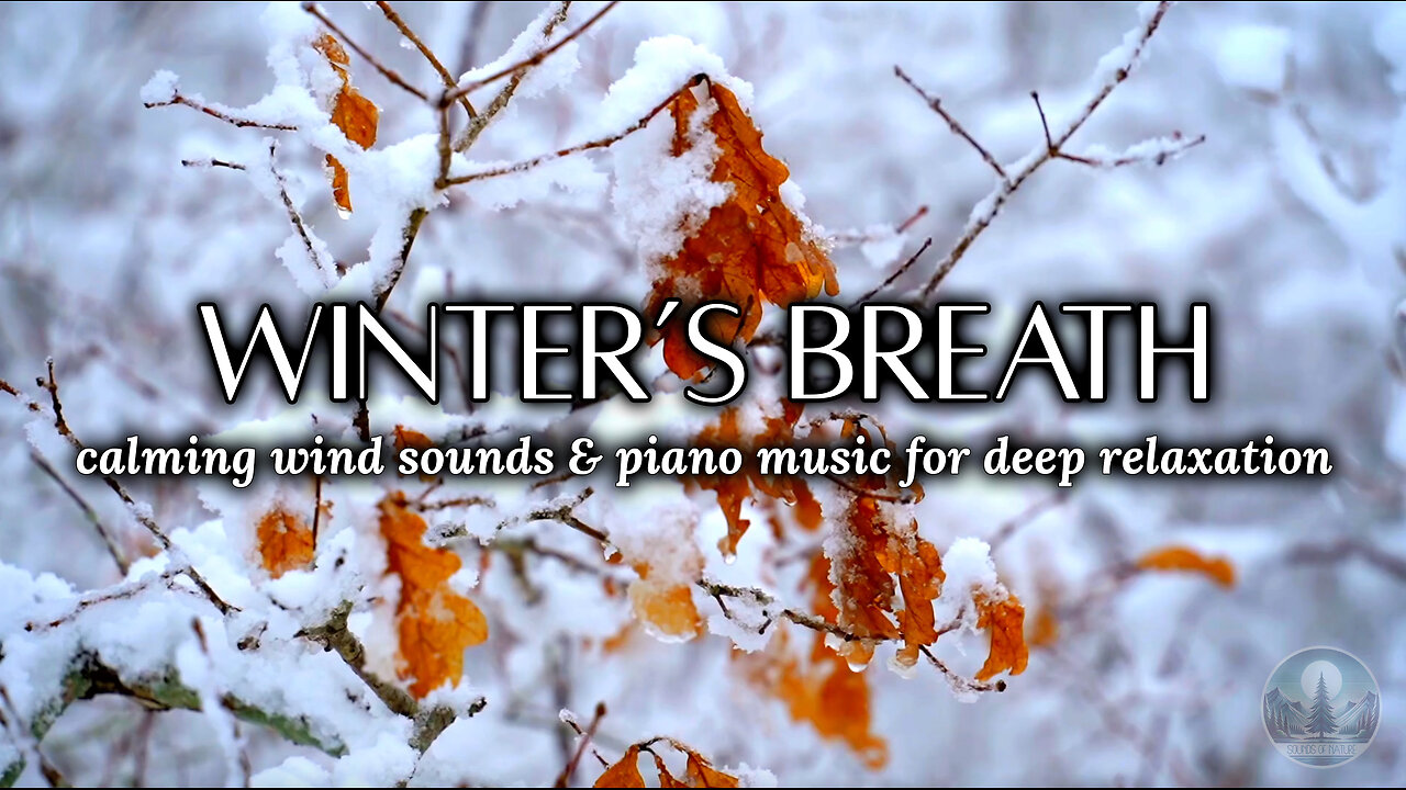 Winter's Breath | Calming Wind Sounds & Soft Piano Music for Relaxation, Sleep & Stress Relief