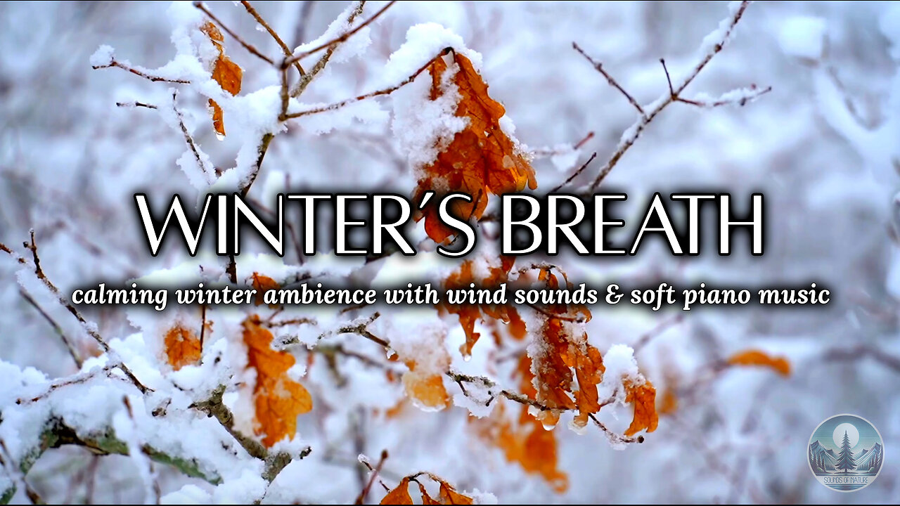 Calming Winter Ambience with Wind Sounds & Soft Piano Music 🍂🌬️❄️ | Sounds of Nature