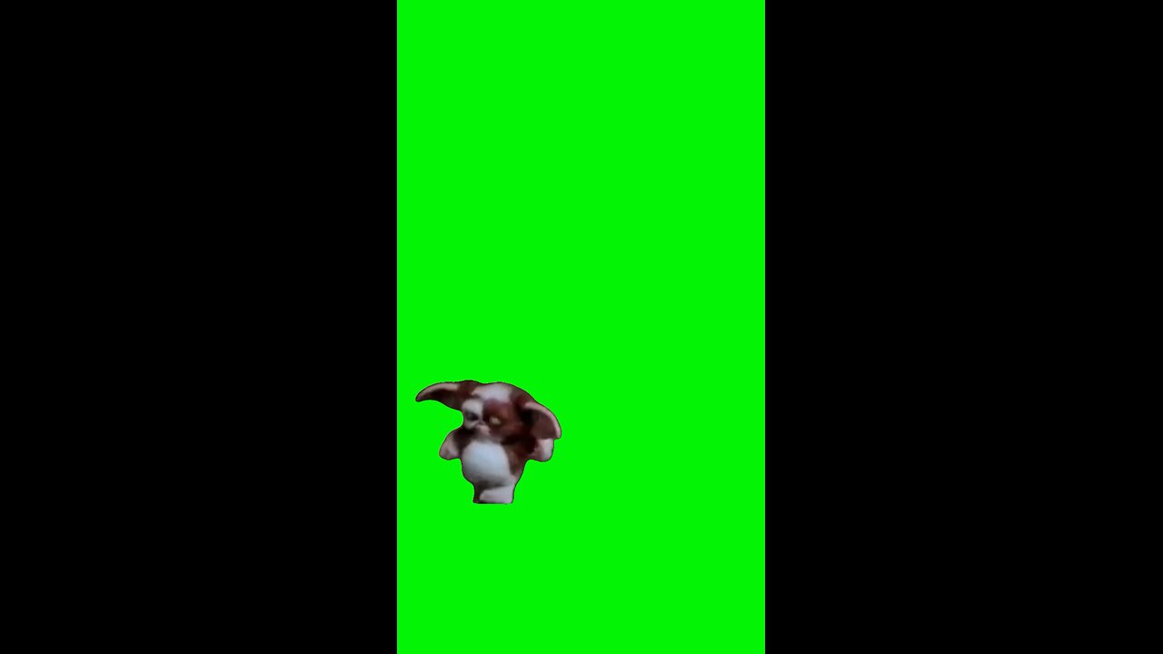 Gizmo Running | Green Screen