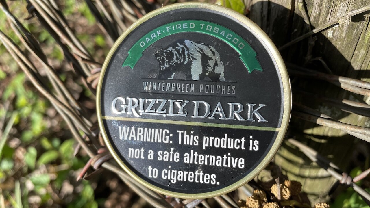 Grizzly Dark Wintergreen Pouches Dip Review