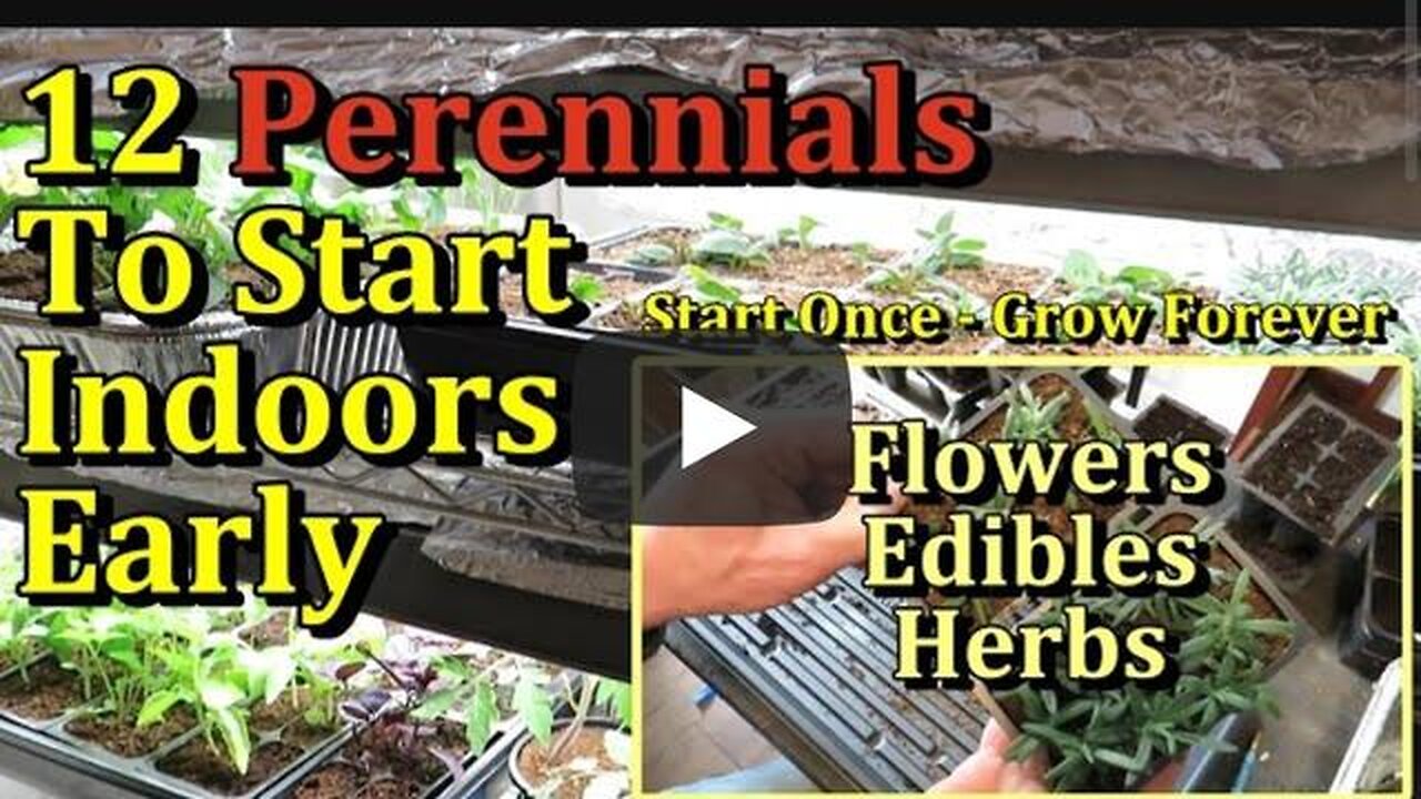 12 Perennial Flowers, Herbs, & Edible Plants to Start Indoors Now (Seed Starting Class E-1)