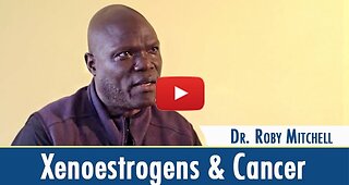 The Link Between Xenoestrogens and Cancer