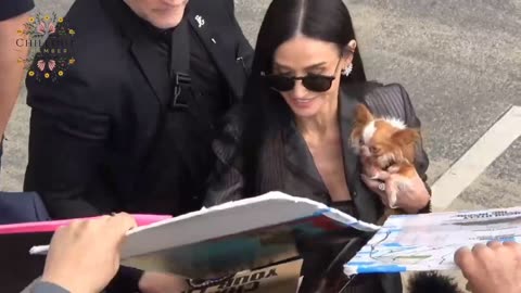 Demi Moore & Her Dog Pilaf Stand Their Ground Against Paparazzi Frenzy at Independent Spirit Awards!