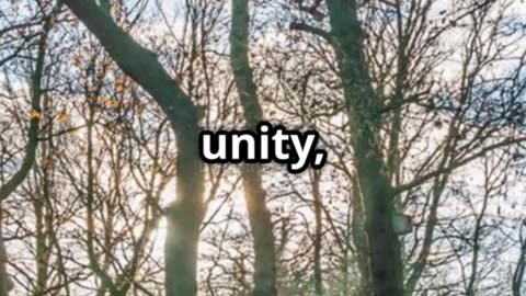 Vision of Unity