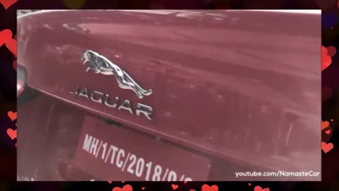 I Love my Jaguar...