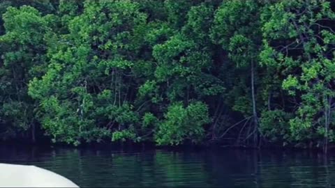 Loniu Passage, Manus Province - PNG