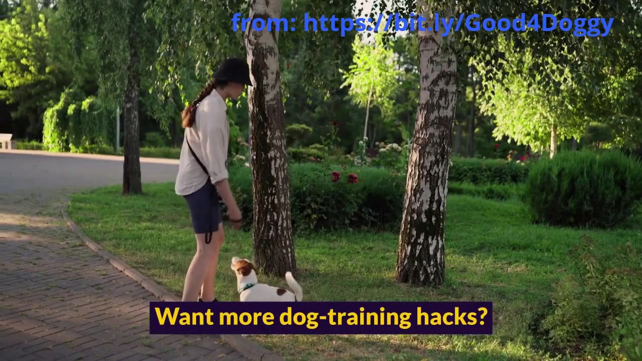 How Dogs Keep Us Healthy: 4 Surprising Benefits of Dog Ownership!