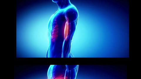 Do Just This One Exercise to Rejuvenate Your Entire Body
