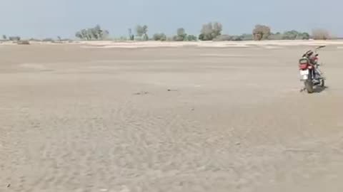 Beshak 💯🙏🙏🙏