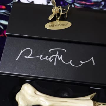 🐍 Happy Birthday Lord Voldemort | SIGNED Wand Quick Look