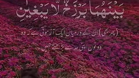 Tilawat Quran sharif very good video