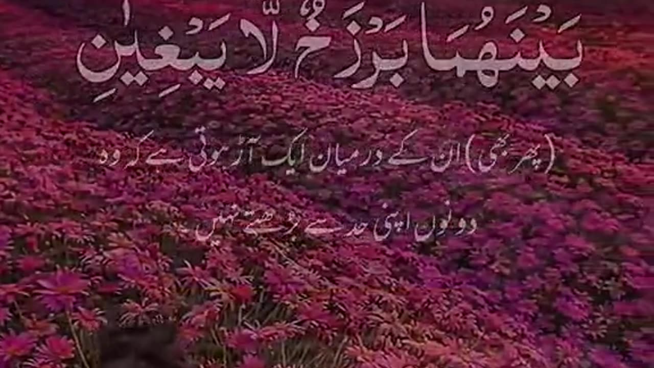 Tilawat Quran sharif very good video