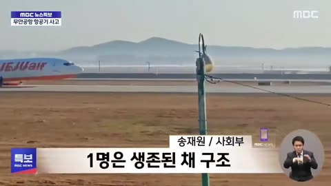 🚨 Absolutely heartbreaking footage of the plane crash in South Korea with 181 souls onboard.