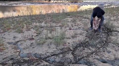 Setting a trap