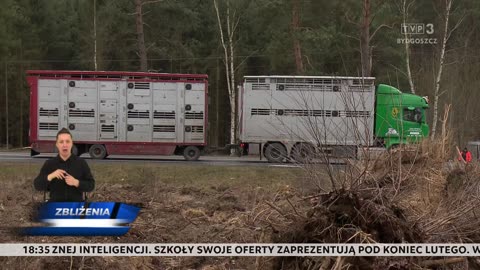 Zbliżenia HD TVP3 Bydgoszcz 6.02.2025