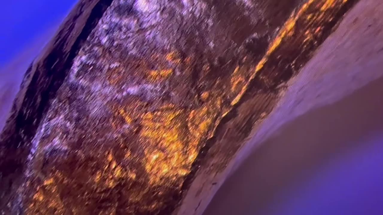 🔬🇨🇳