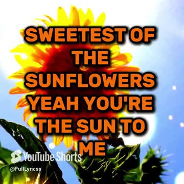 ZACH BRYAN SUN TO ME LYRICS