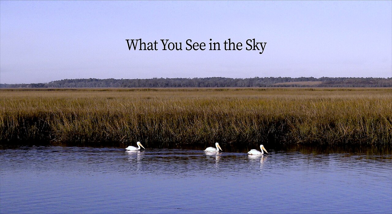 FF-021-WHAT YOU SEE IN THE SKY