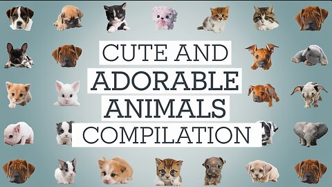 Cute baby animals Videos Compilation