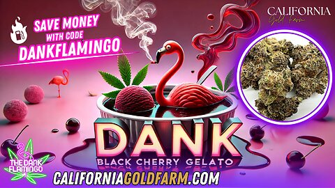 Relaxing with Black Cherry Gelato from California Gold Farm! The Dank Flamingo Review!!