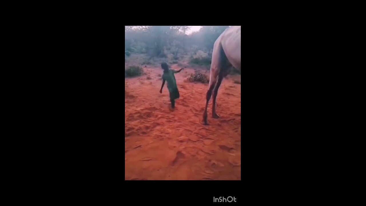 Nice Bro