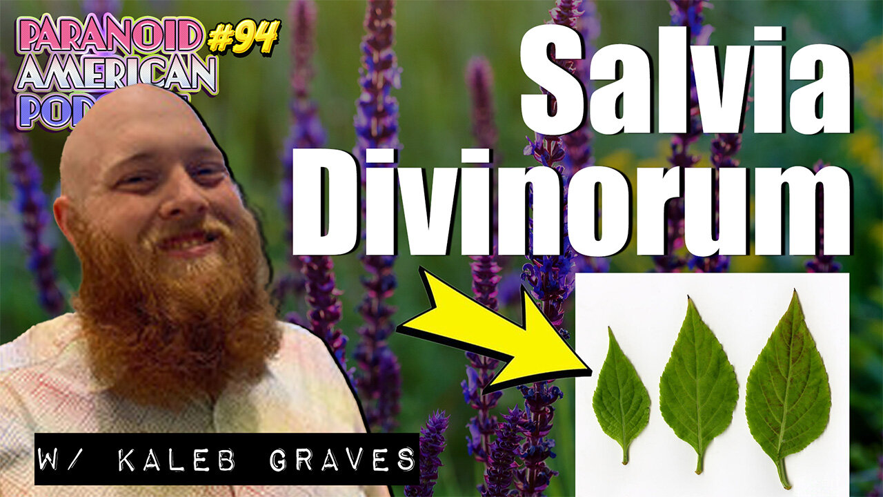 Salvia Divinorum and Psychedelic Theology w/ Kaleb Graves | Paranoid American Podcast 94