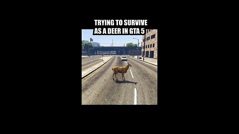 GTA5 #funny