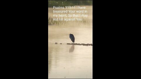 Daily Verse January 21st 2025