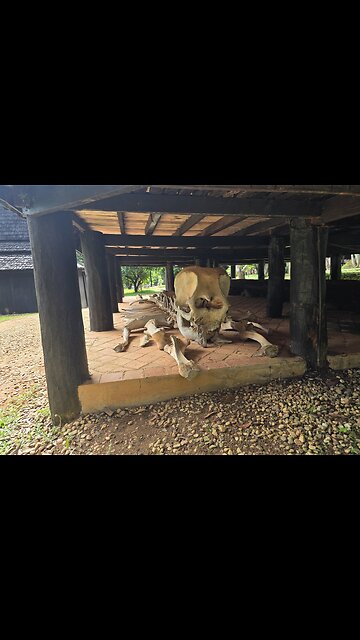 Face Your Fears ✊️ Embrace Change ..