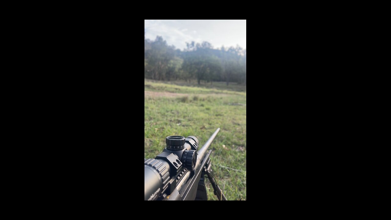 Whistling foxes bit getting bunnies