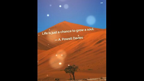 Your Qoute For A Day 143