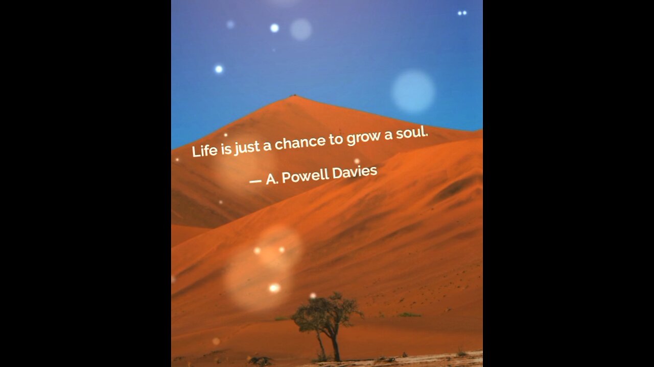 Your Qoute For A Day 143